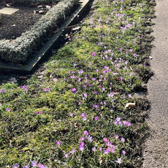 23-02-13 12-41-29 4176